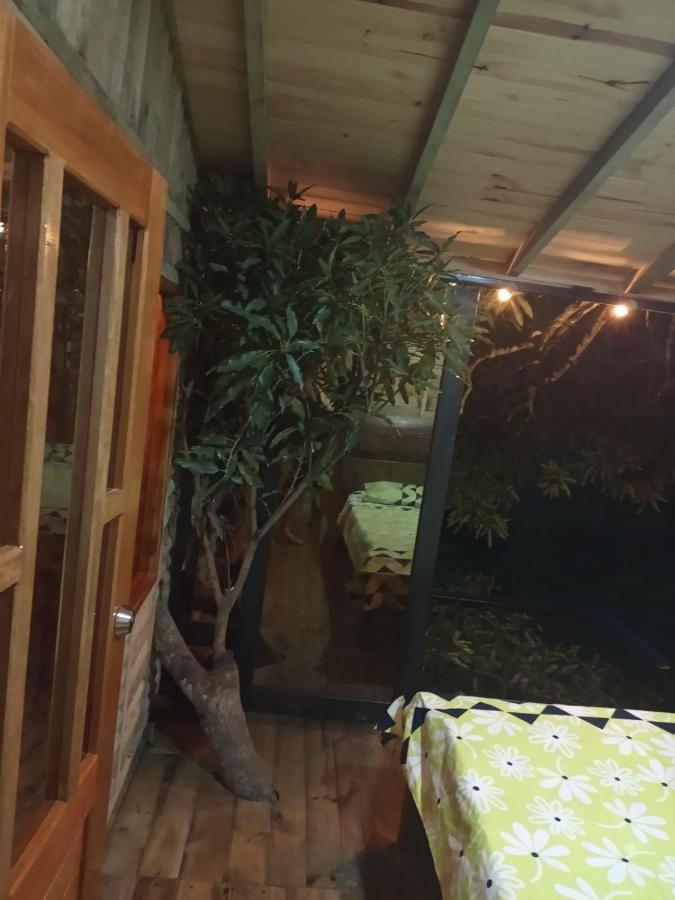 Hotel La Casita Del Arbol Guaduas Cundi. Esterno foto