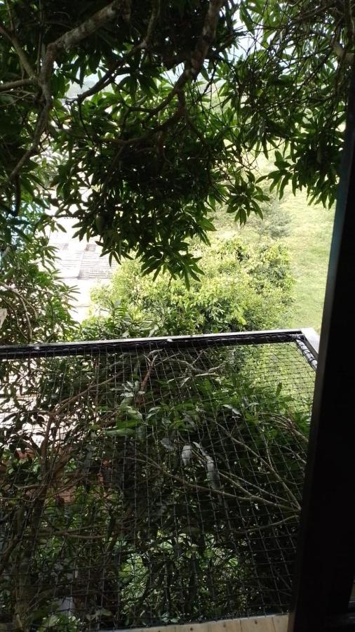 Hotel La Casita Del Arbol Guaduas Cundi. Esterno foto